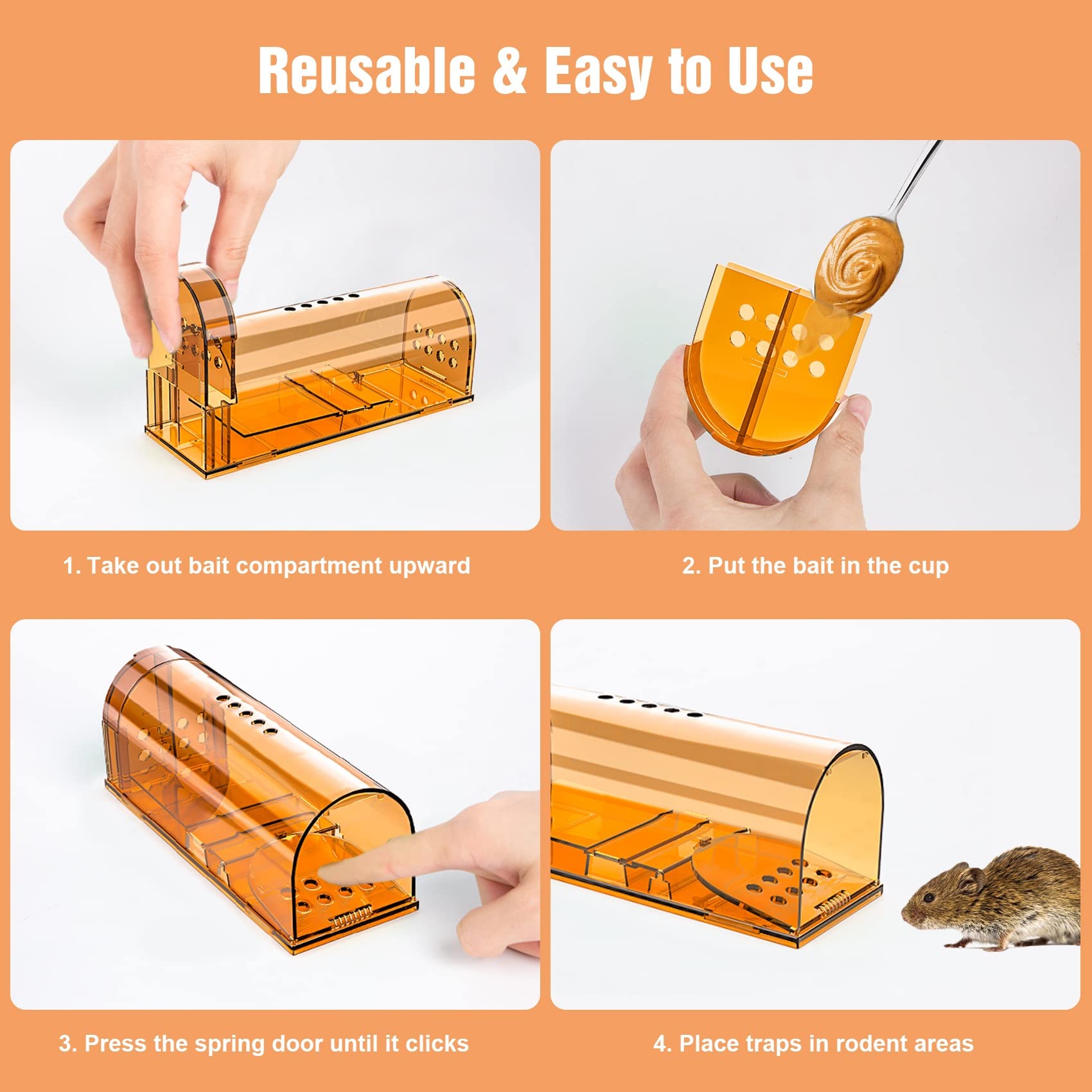 Wanqueen humane mouse trap spring door mechanism