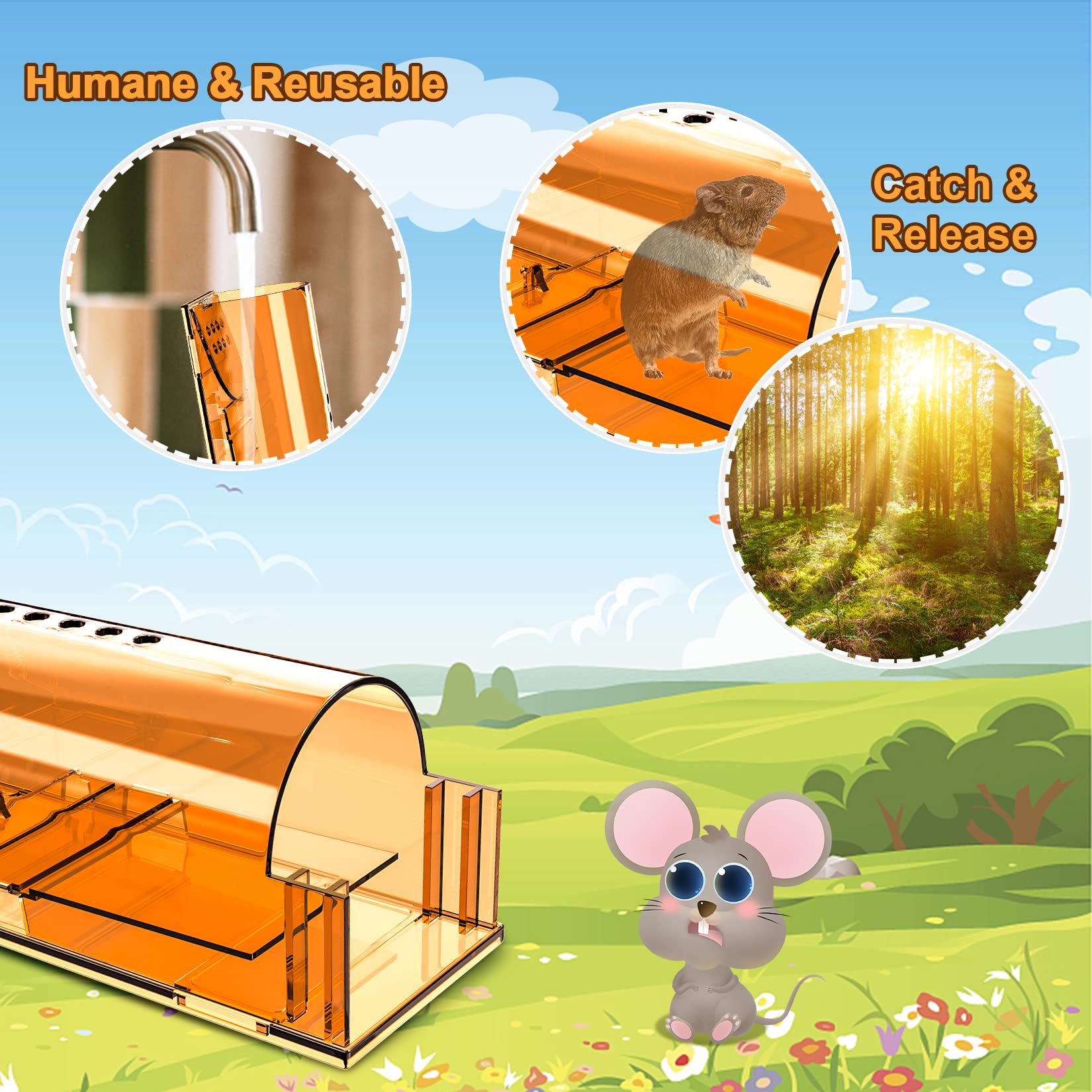 Wanqueen humane mouse traps pack of four