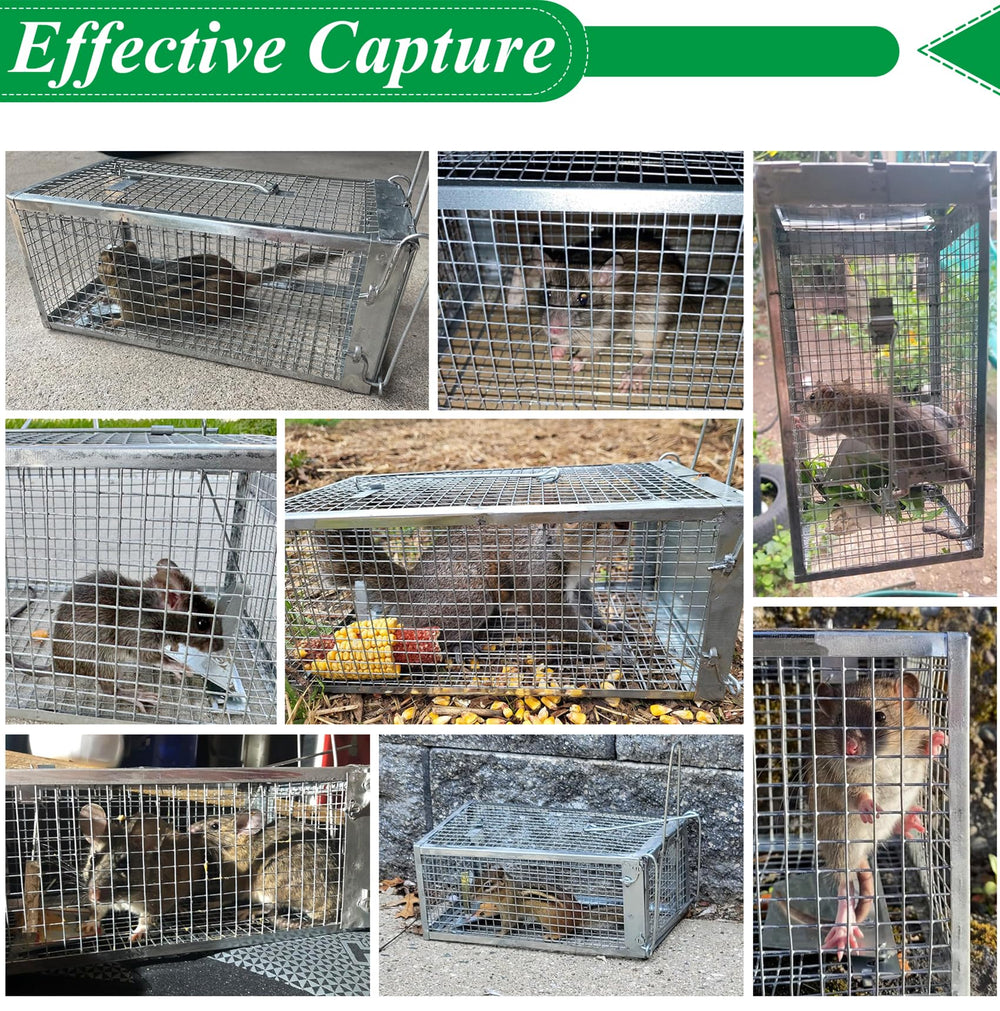 Wanqueen Humane Rat Mouse Trap Cage dimensions
