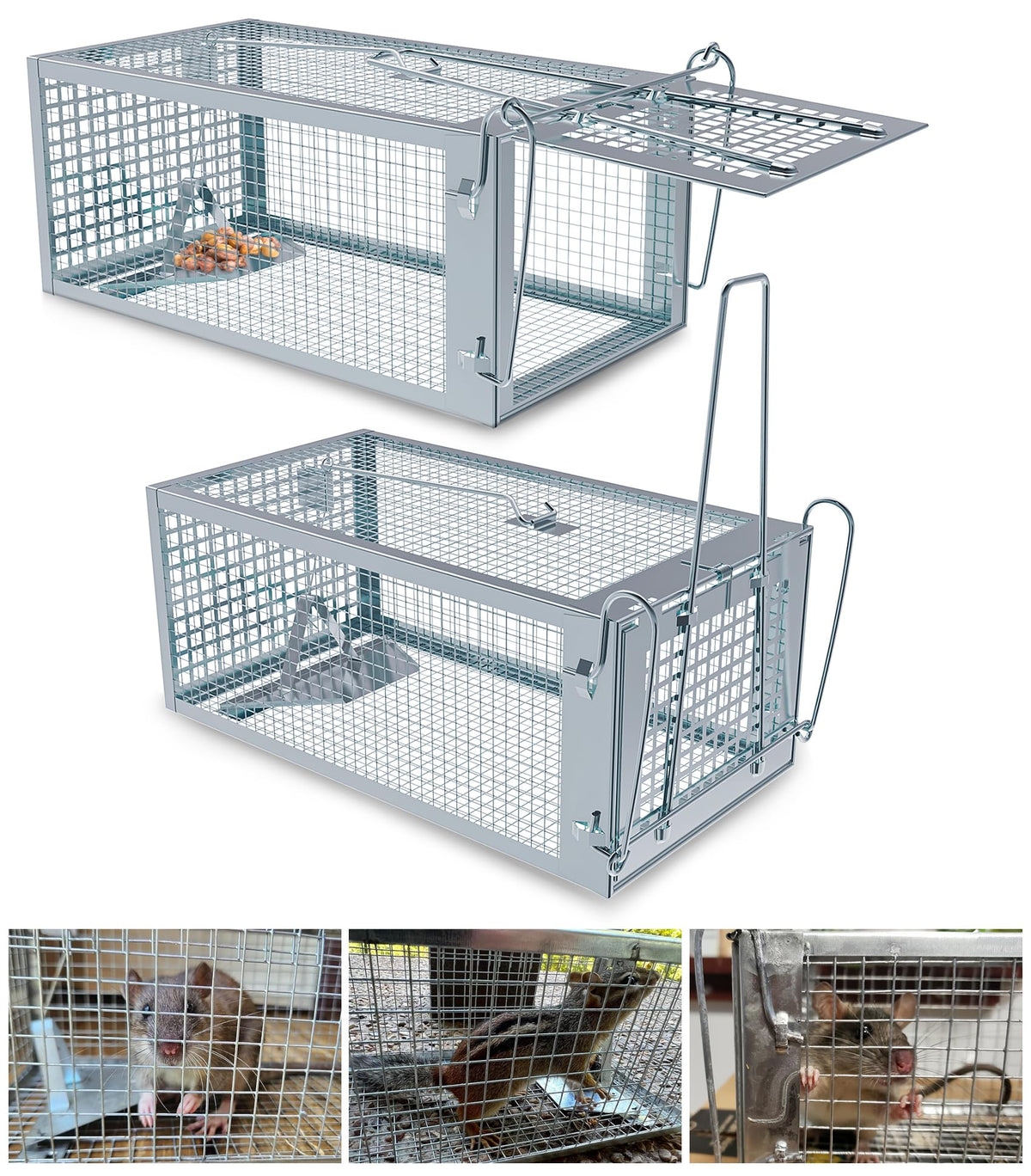 Wanqueen Humane Rat Mouse Trap Cage front view