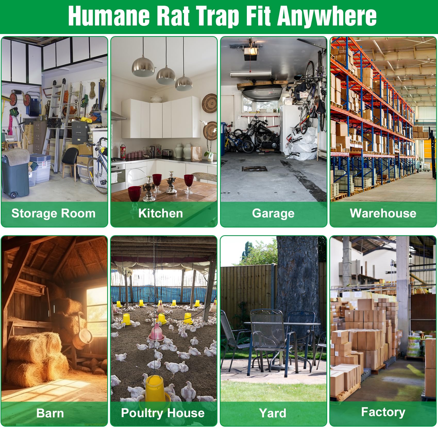 Wanqueen humane rat mouse trap collection of four units