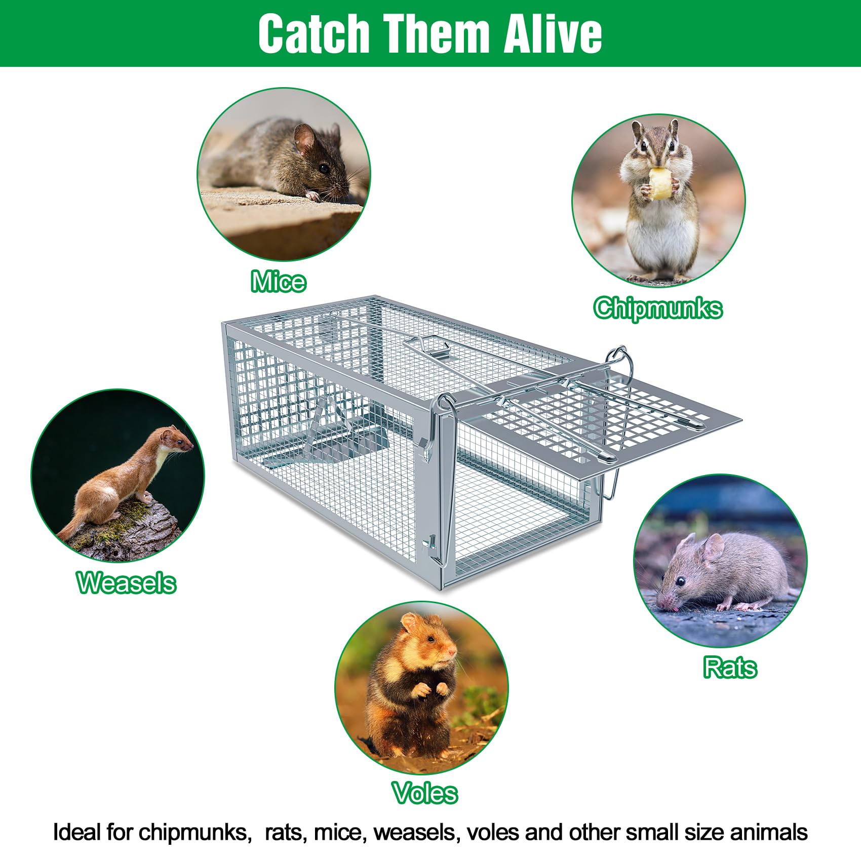 Wanqueen humane rat mouse trap dimensions display