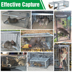 Wanqueen humane rat mouse trap with bait inside