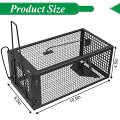 Wanqueen trap with bait in a garden setting