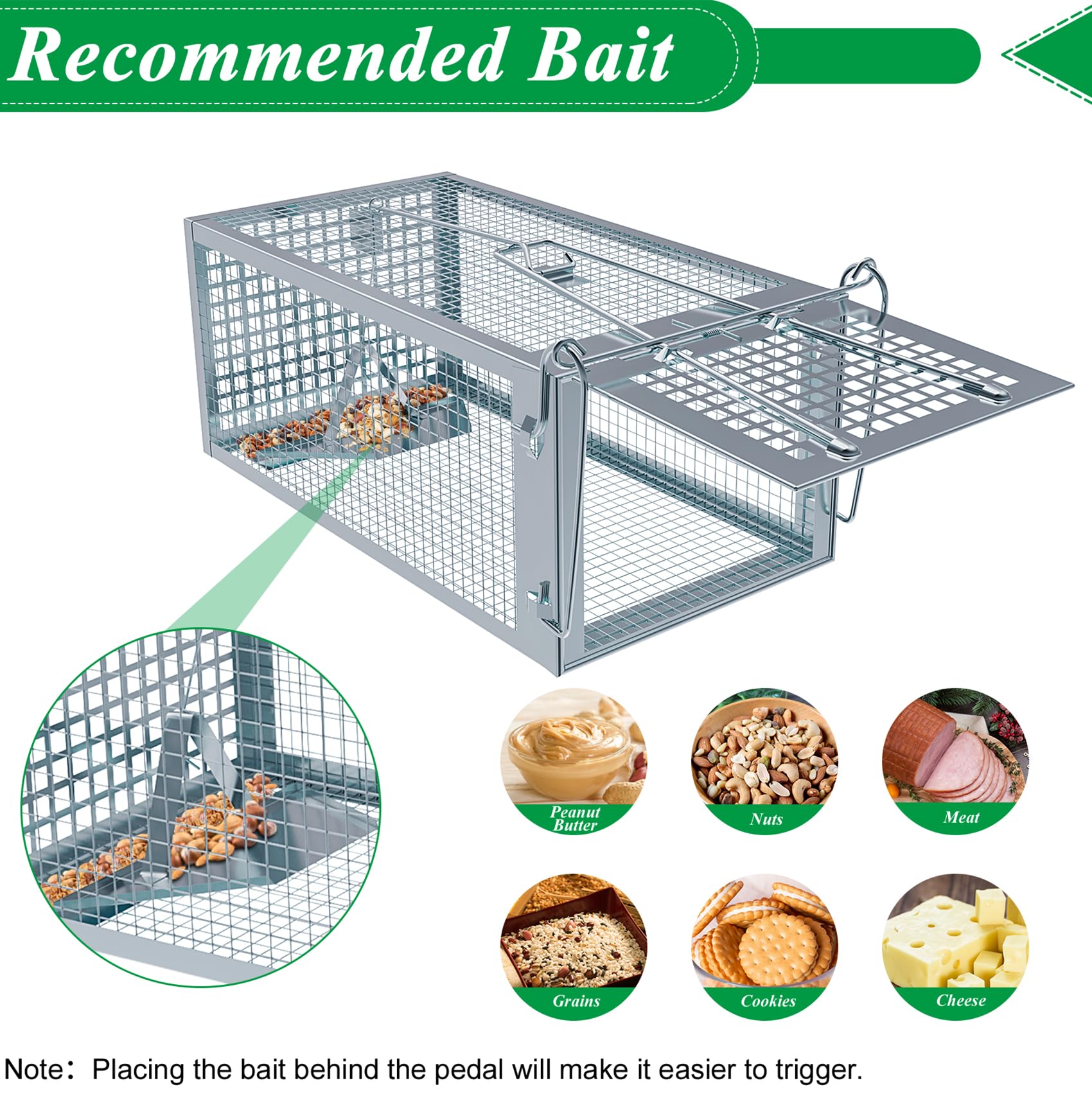 Wanqueen trap with bait inside for rodents