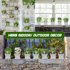 Water bottle and pruner from the herb growing kit