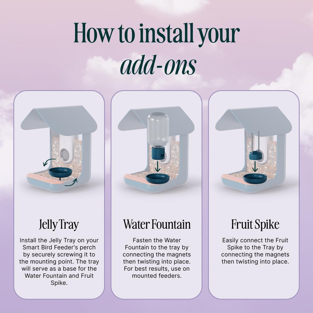 Water Fountain of Bird Buddy Nutrition Set showing clear bottle
