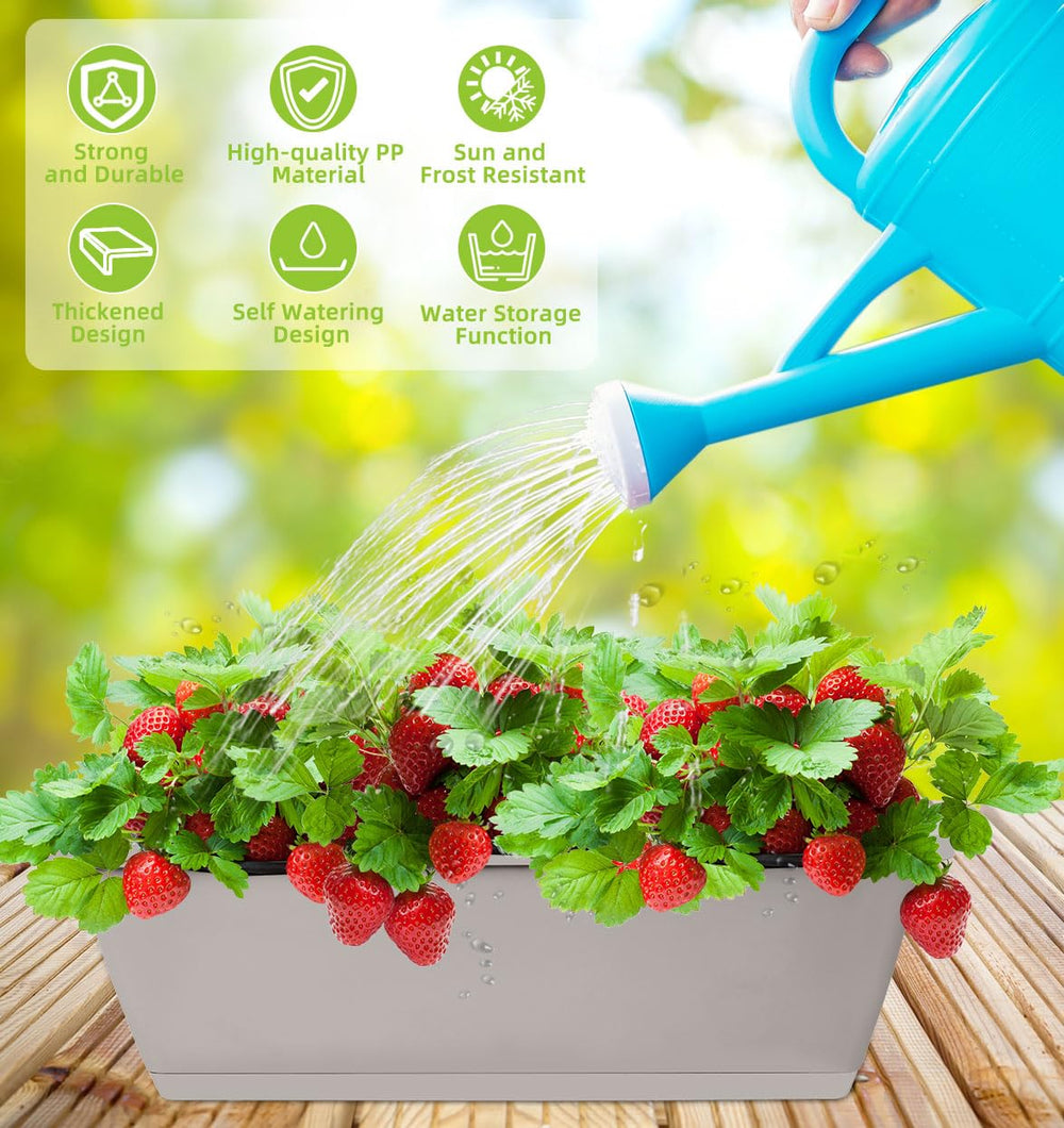 Water inlet design on LOCONHA planter