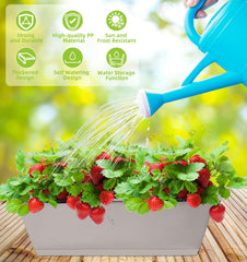 Water inlet design on LOCONHA planter