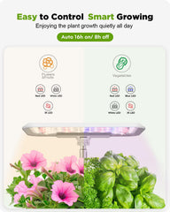 Water level window of URUQ hydroponics system
