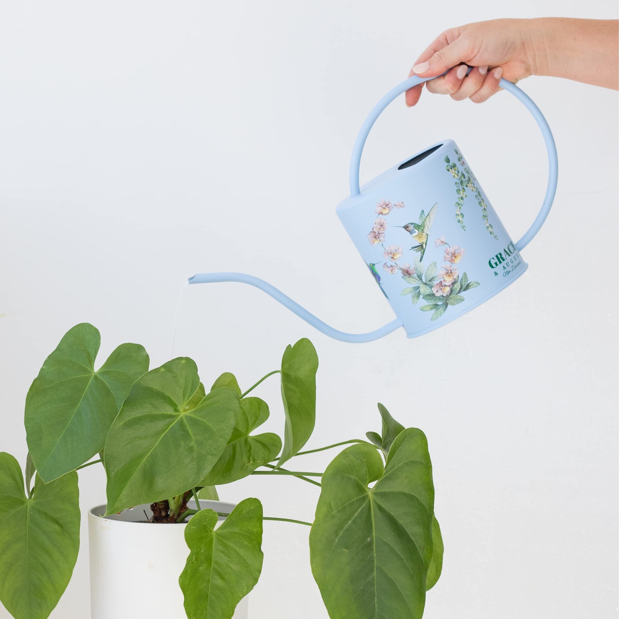 Watering can with Hummingbird artwork displayed on a shelf