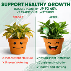 Watering globe placed in potted plant