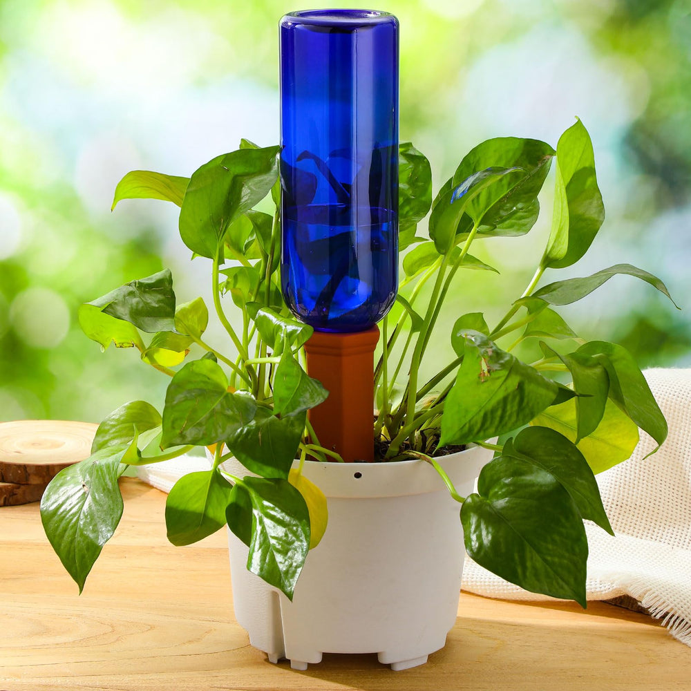 Watering spike inserted in a potted plant