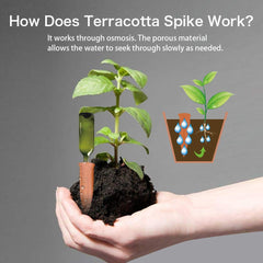 Watering spike set with wine bottle for plants