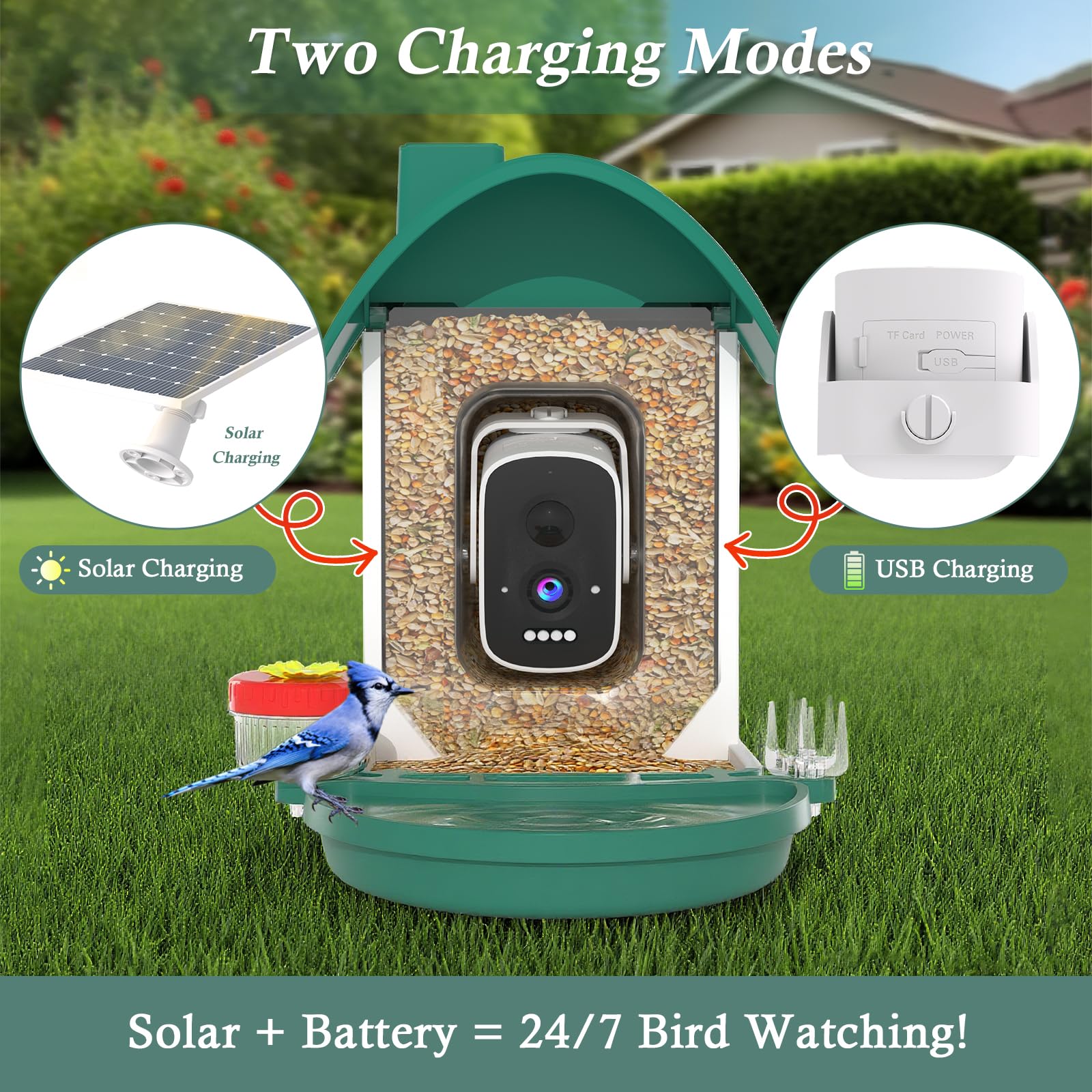 WAVEEME Smart Bird Feeder manual and setup instructions