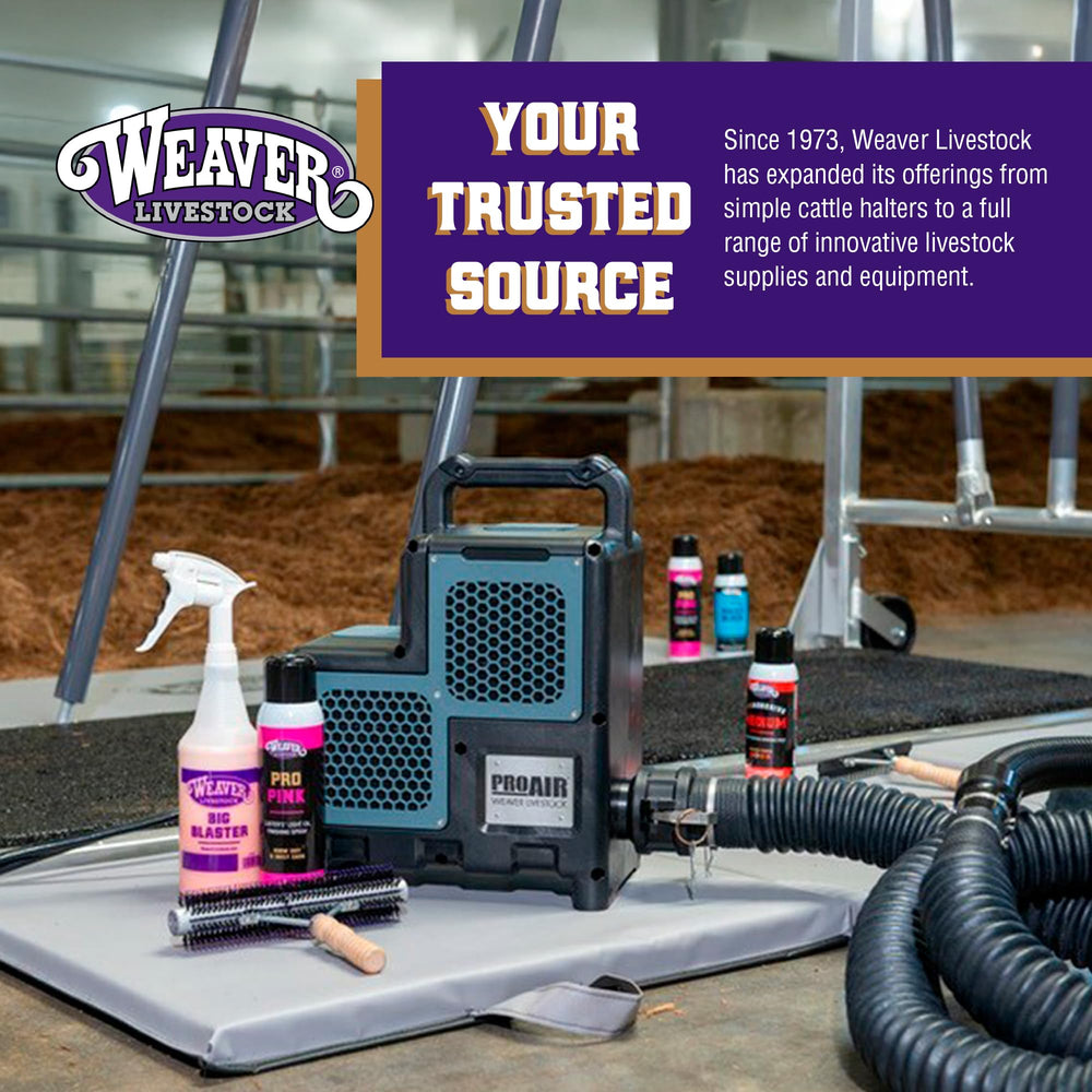 Weaver Livestock Barn Brush surrounded by grooming supplies