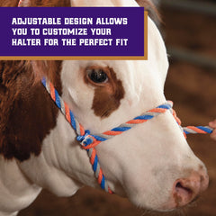 Weaver Livestock cattle halter displayed on a wooden fence