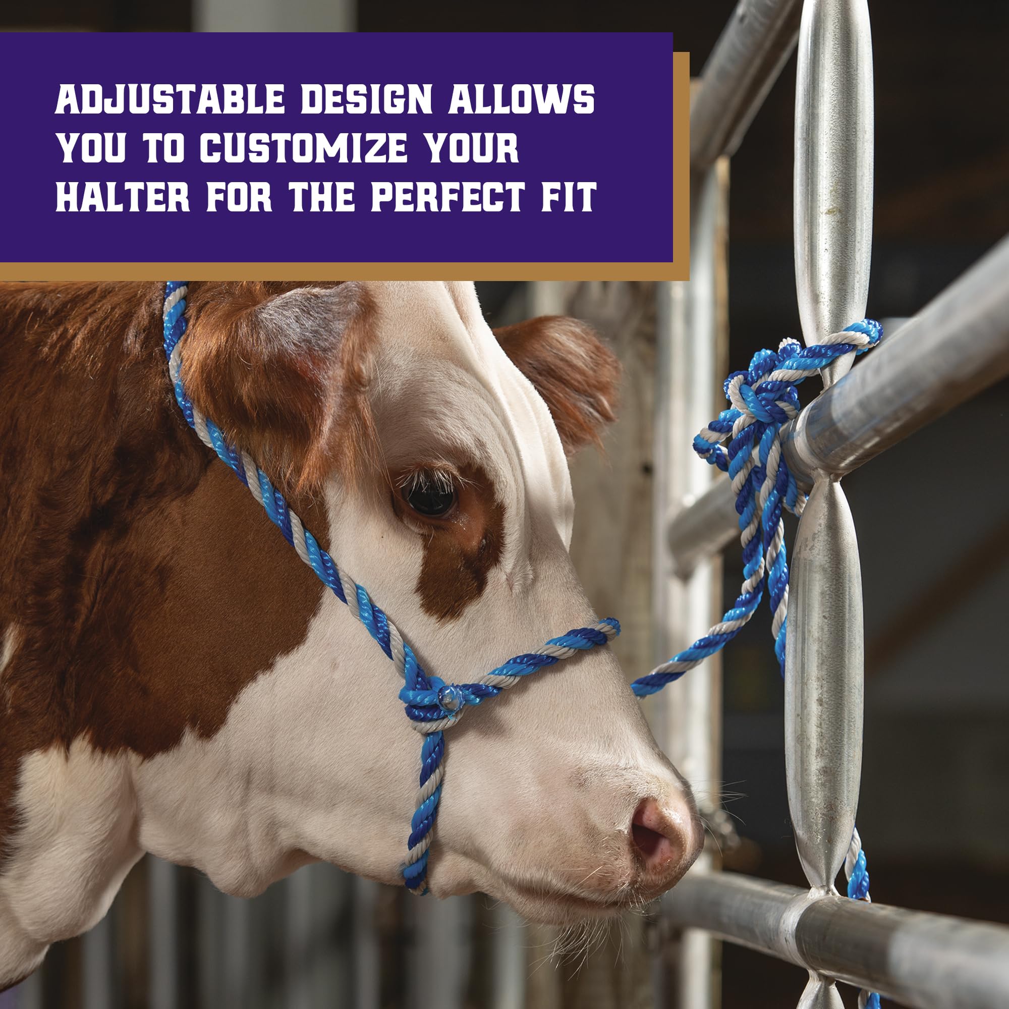 Weaver Livestock Cattle Halter showing durable poly rope material