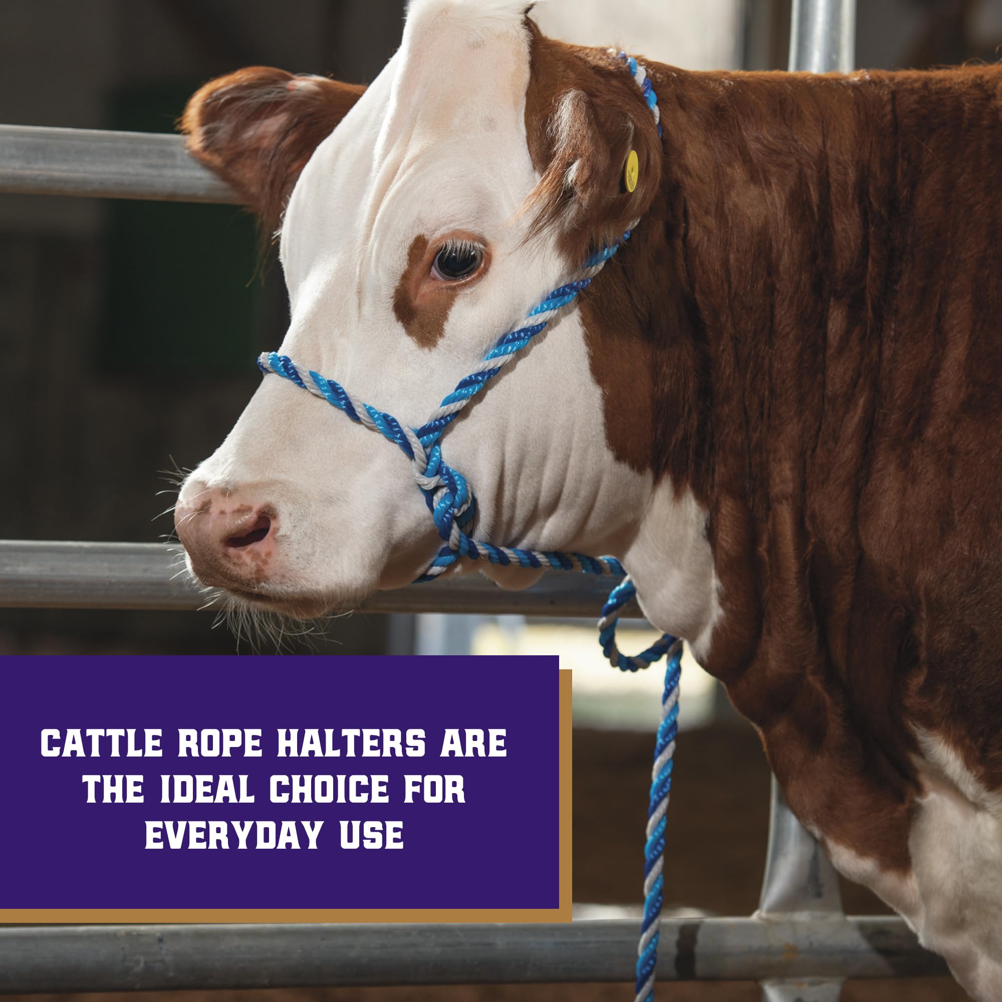 Weaver Livestock Cattle Halter with 7-foot lead rope