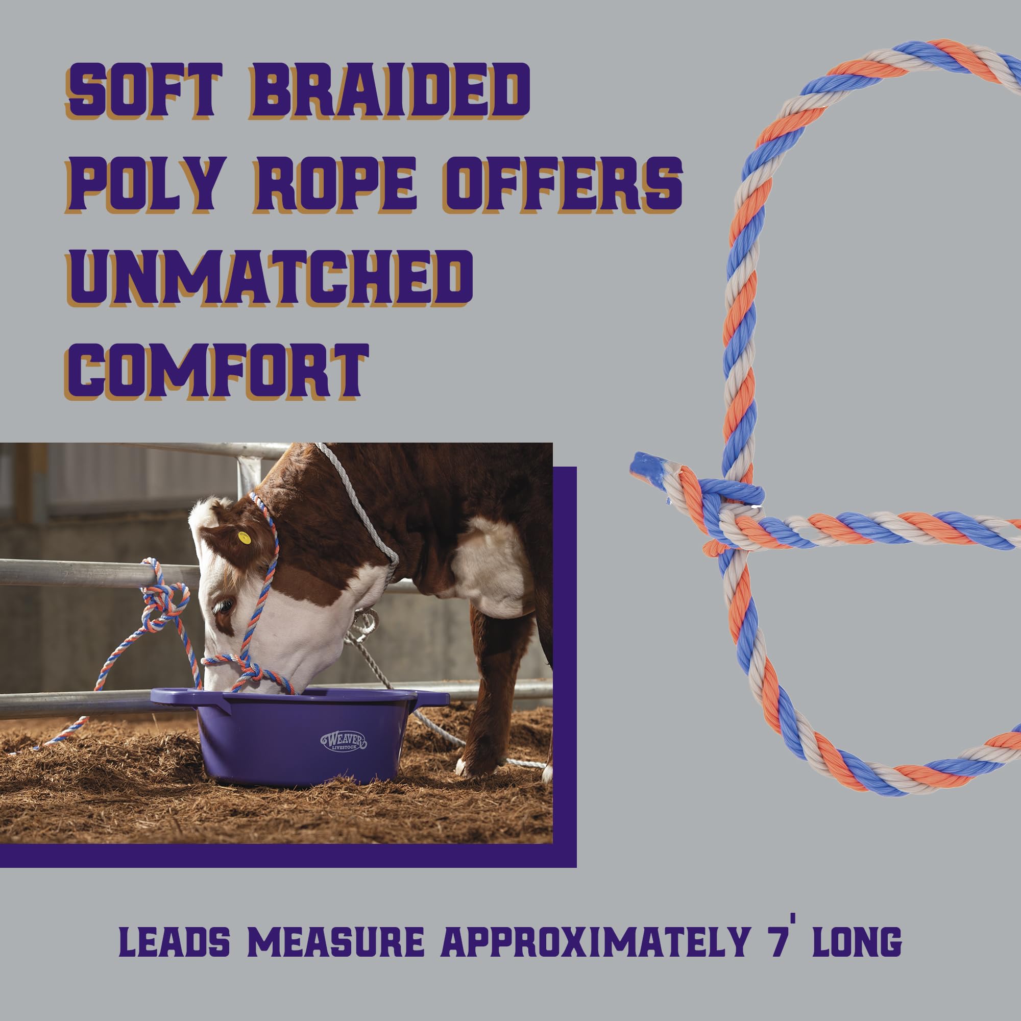 Weaver Livestock cattle halter with 7-foot lead rope included
