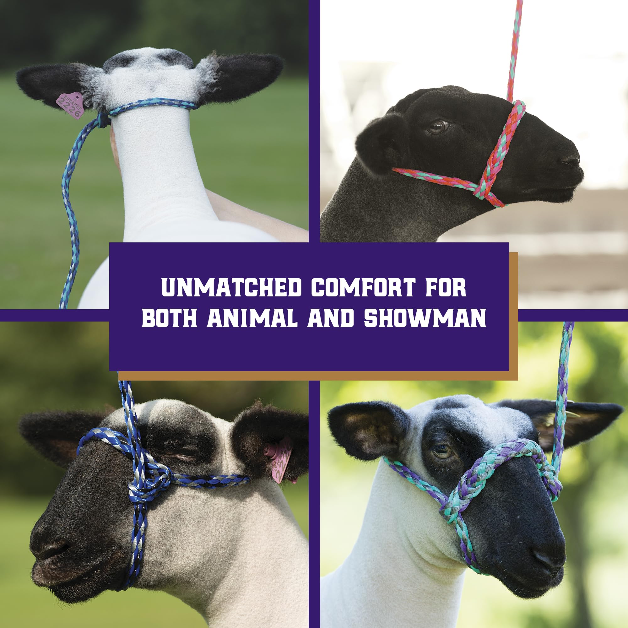 Weaver Livestock Sheep Halter packaging