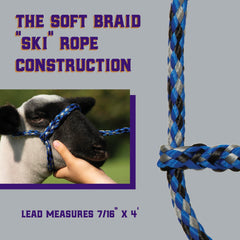 Weaver Livestock Sheep Halter with 4' lead on a sheep
