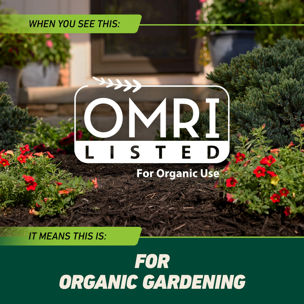 Weeds with Ortho GroundClear showing results