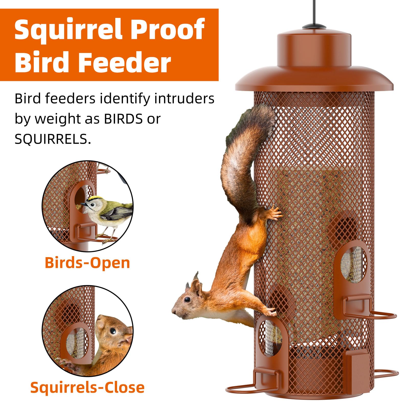 WeeFeetc Bird Feeder with four feeding ports and rubber gasket seal