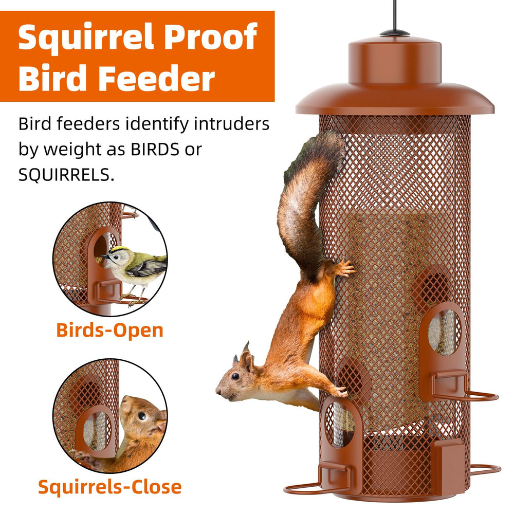 WeeFeetc Bird Feeder with four feeding ports and rubber gasket seal