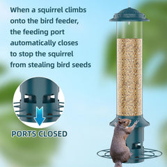 WeeFeetc Bird Feeder with removable bottom for easy cleaning