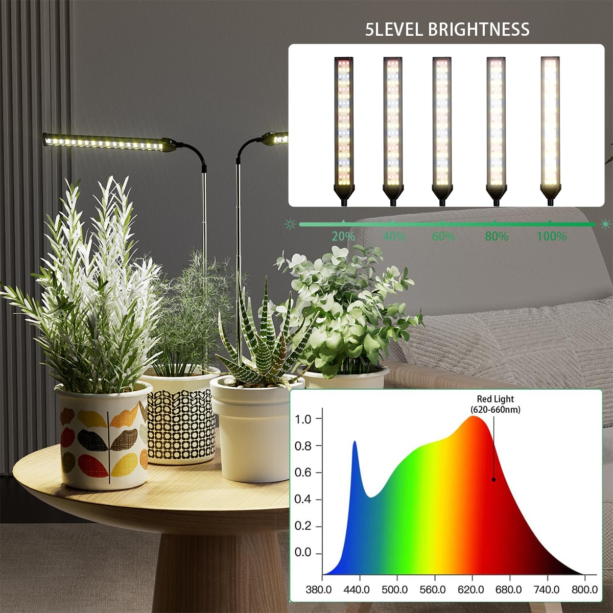 WeeLeeGoo Grow Light showing 4-10 inch height adjustment