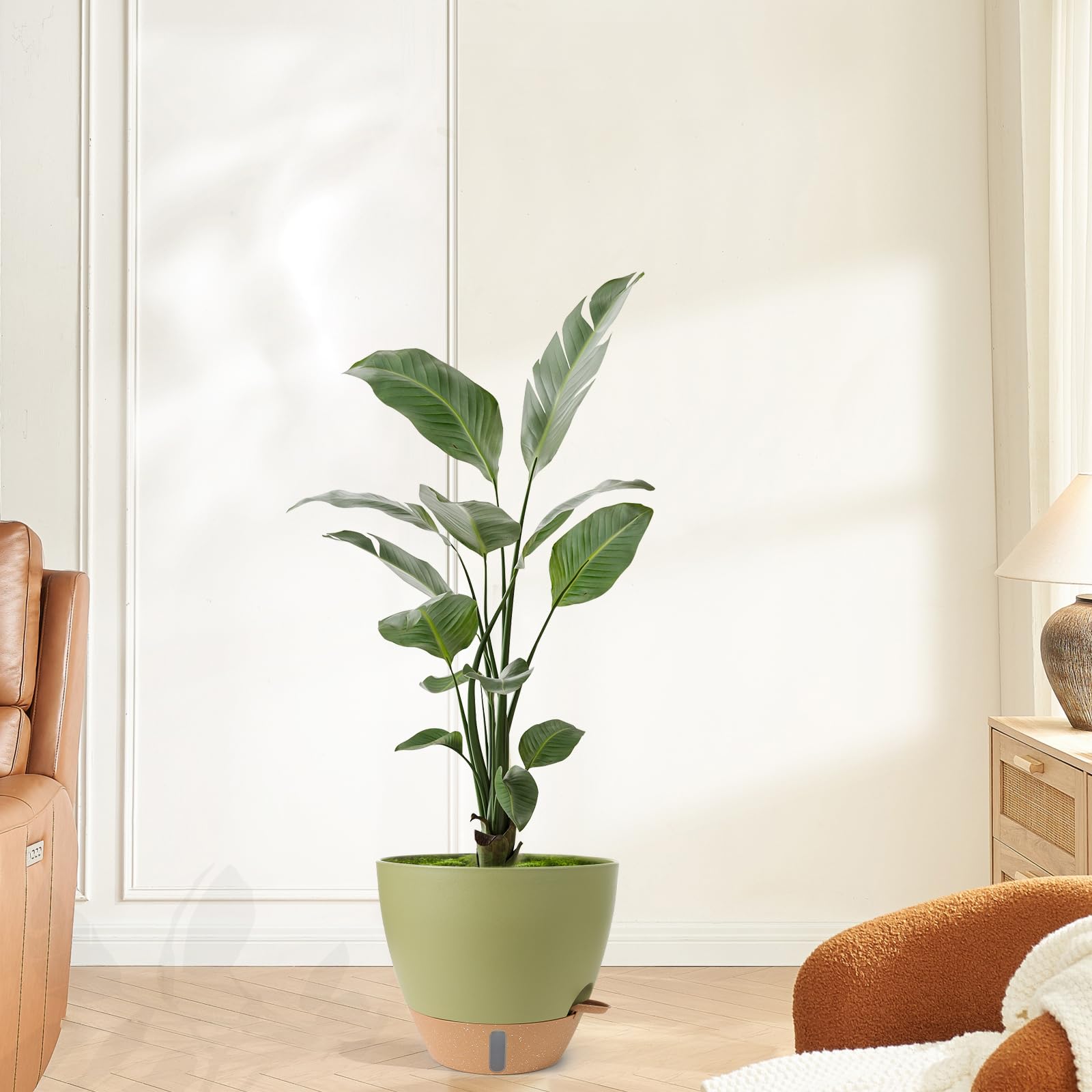 WEICHENGXING self watering pot set with tray and measurement marks