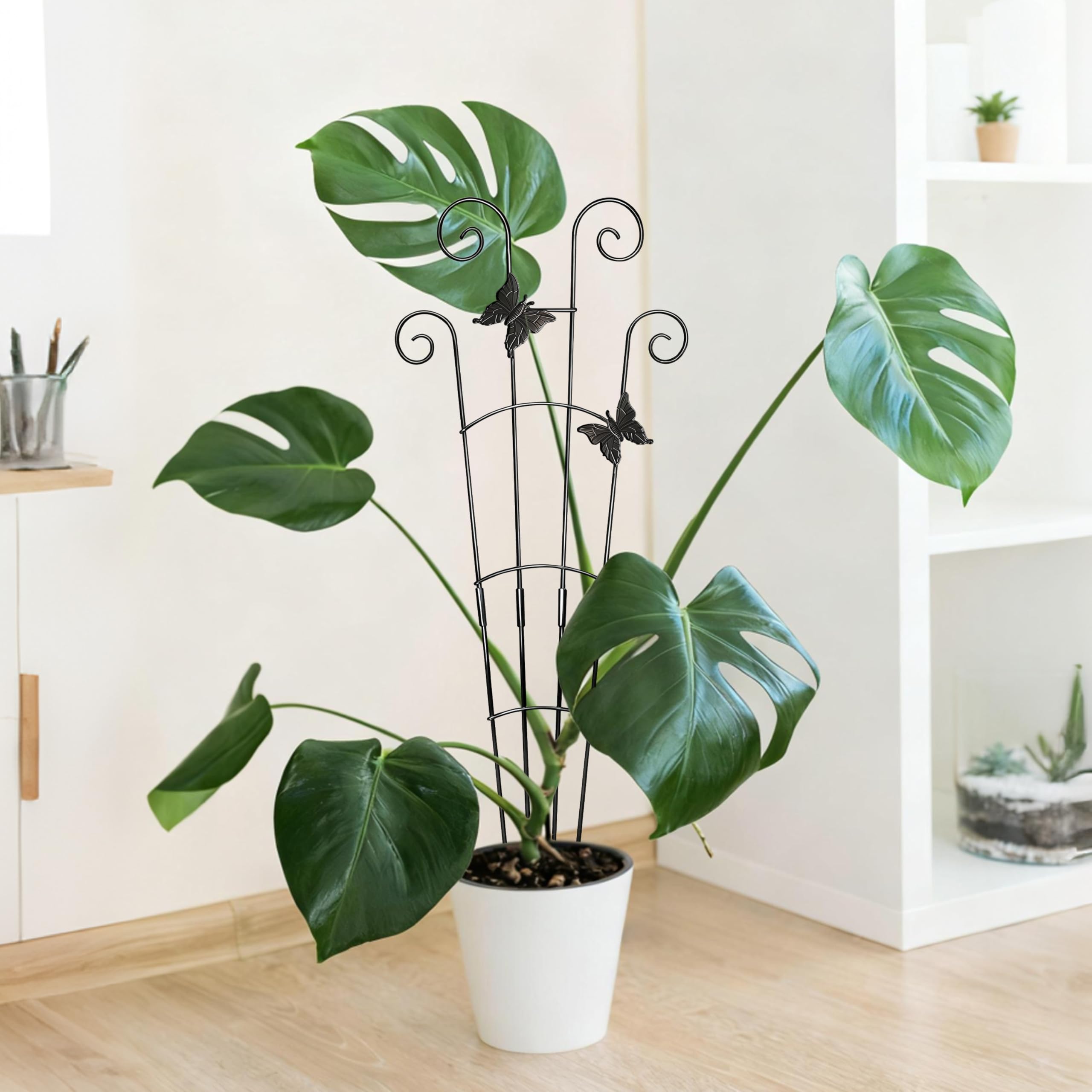 Weight capacity demonstration of Xeeol 30in trellis with climbing plant