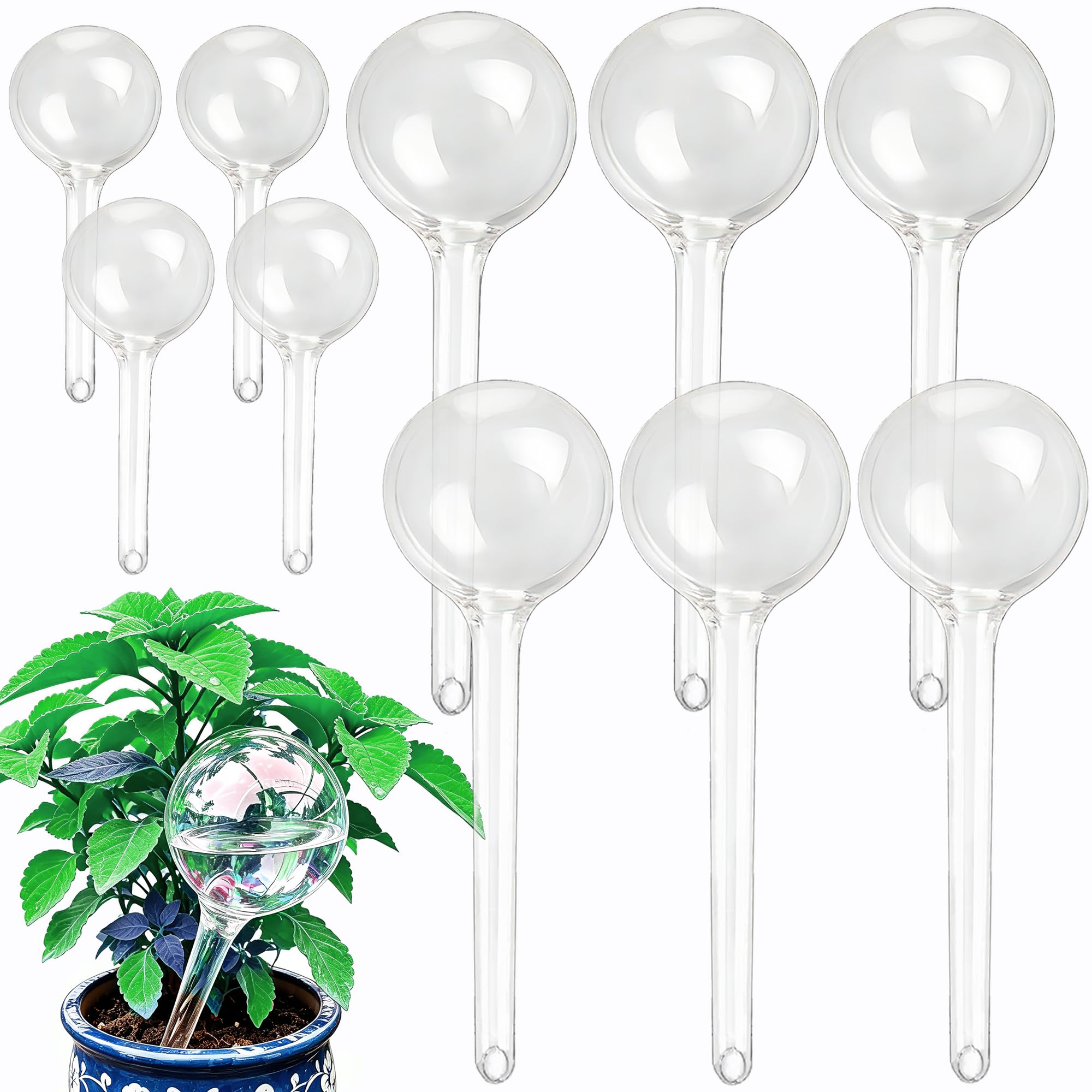 Wellinc plant self watering globes set with 6 large and 4 small globes