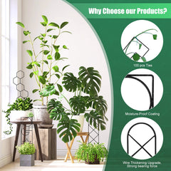 WellSign 15.94 inch trellis showing climbing plant support