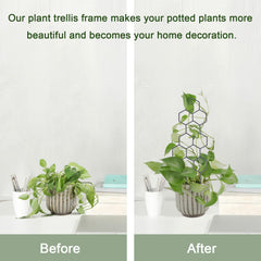 WellSign Metal Plant Trellis in garden setup with flowers