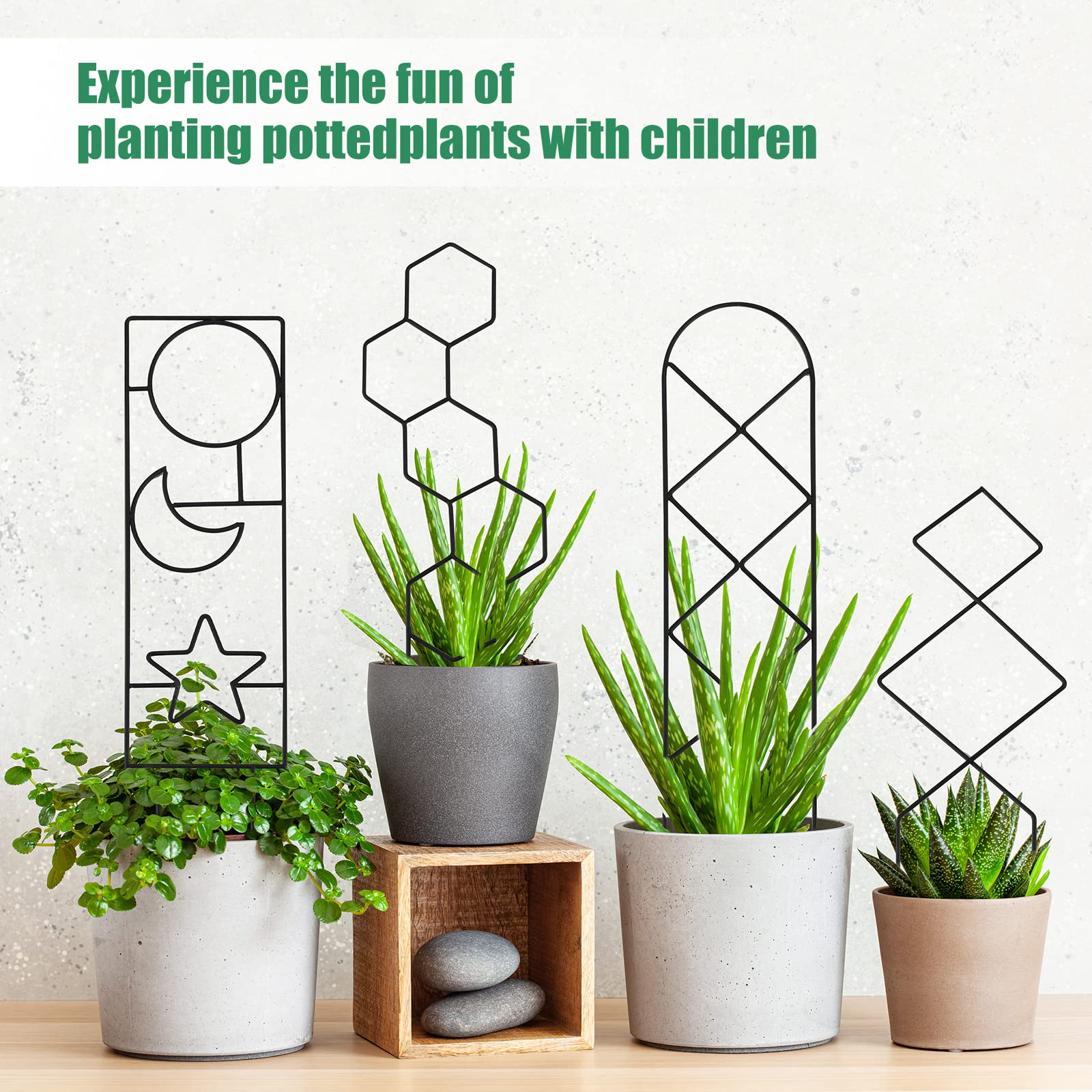 WellSign Plant Trellis displayed in an indoor potted plant setting