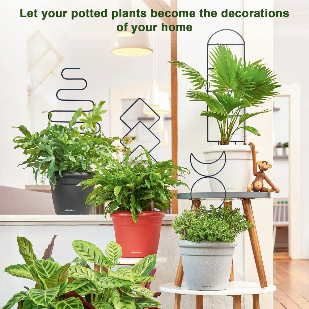 WellSign Small Metal Trellis for lightweight climbing plants