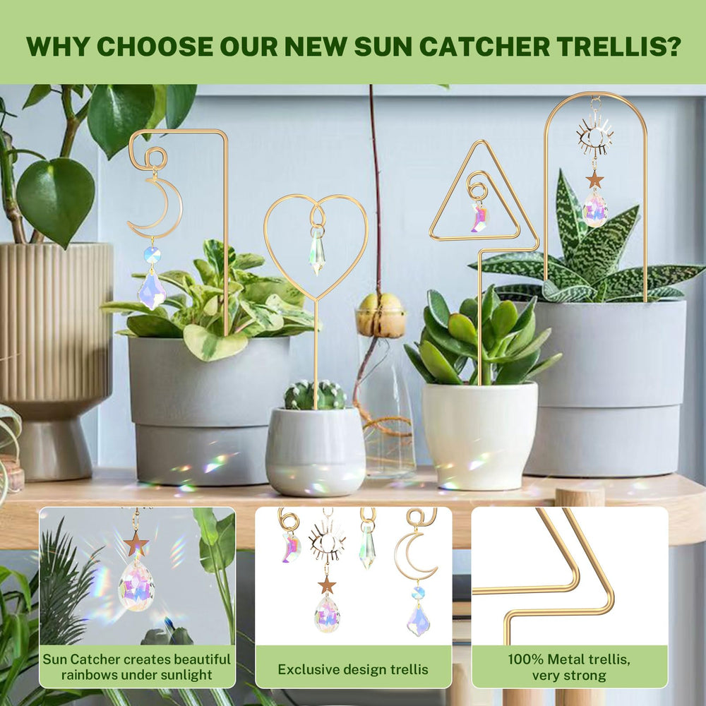 WellSign Small Trellis set of 4 in colorful designs