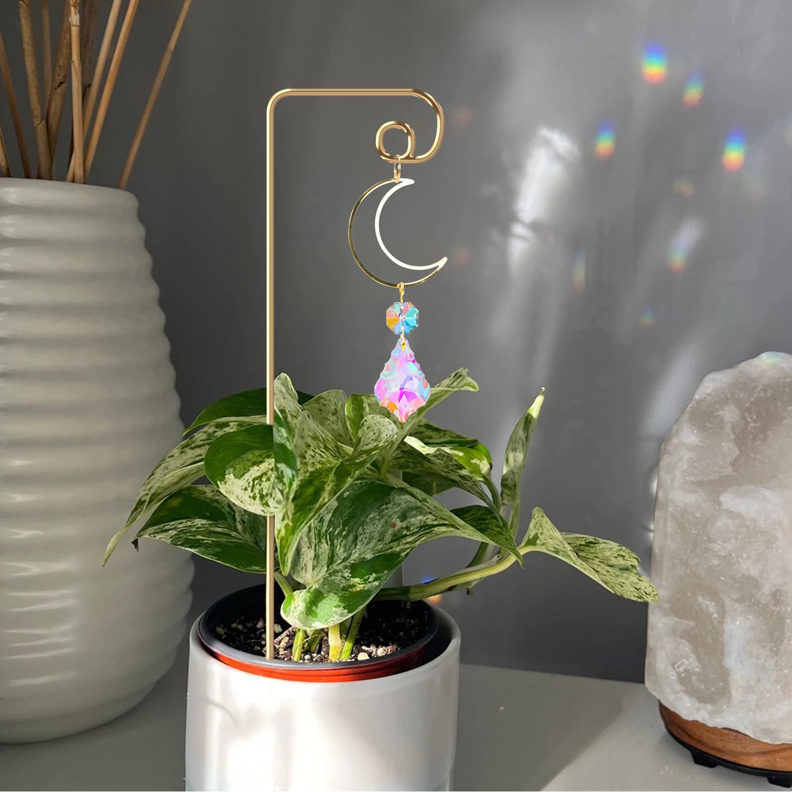 WellSign Small Trellis supporting a spider plant in a decorative pot
