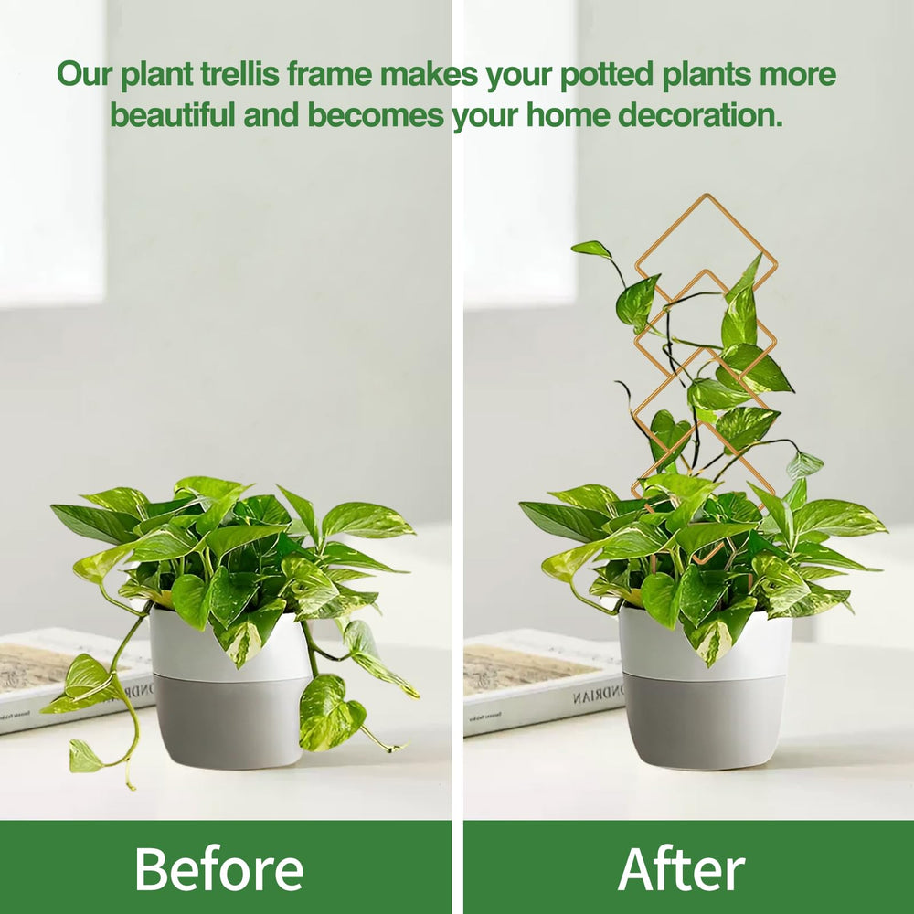 WellSign trellis supporting climbing plants in a pot