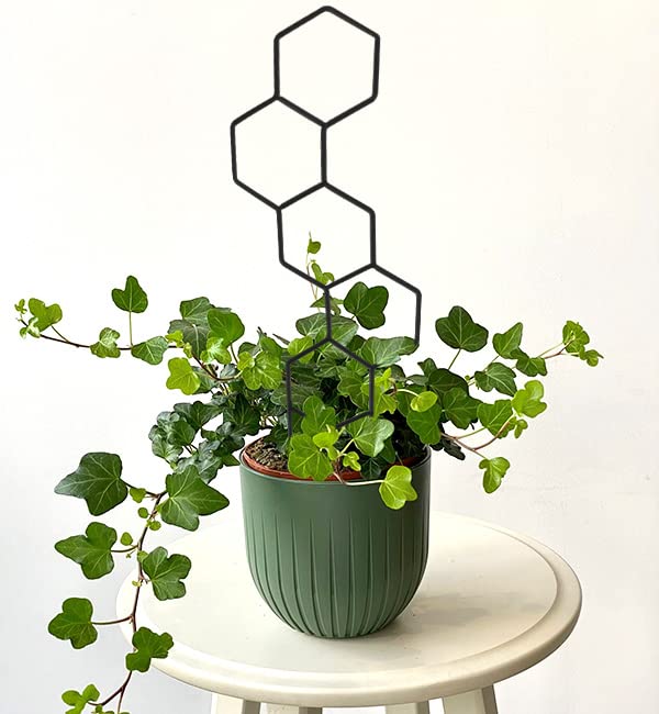 WellSign trellis with climbing plants securely tied to the structure