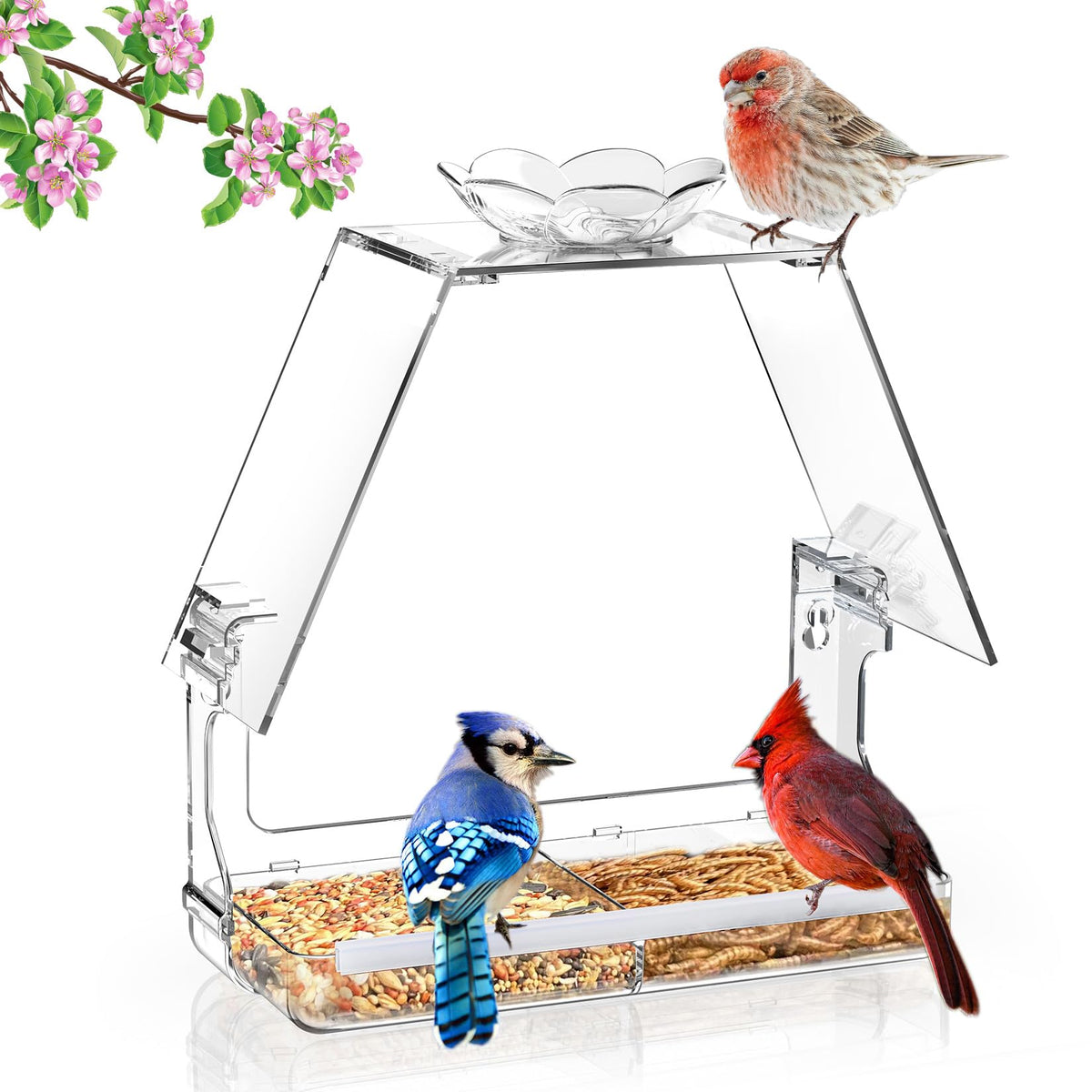 WENMIXER Window Bird Feeder front view with clear acrylic design