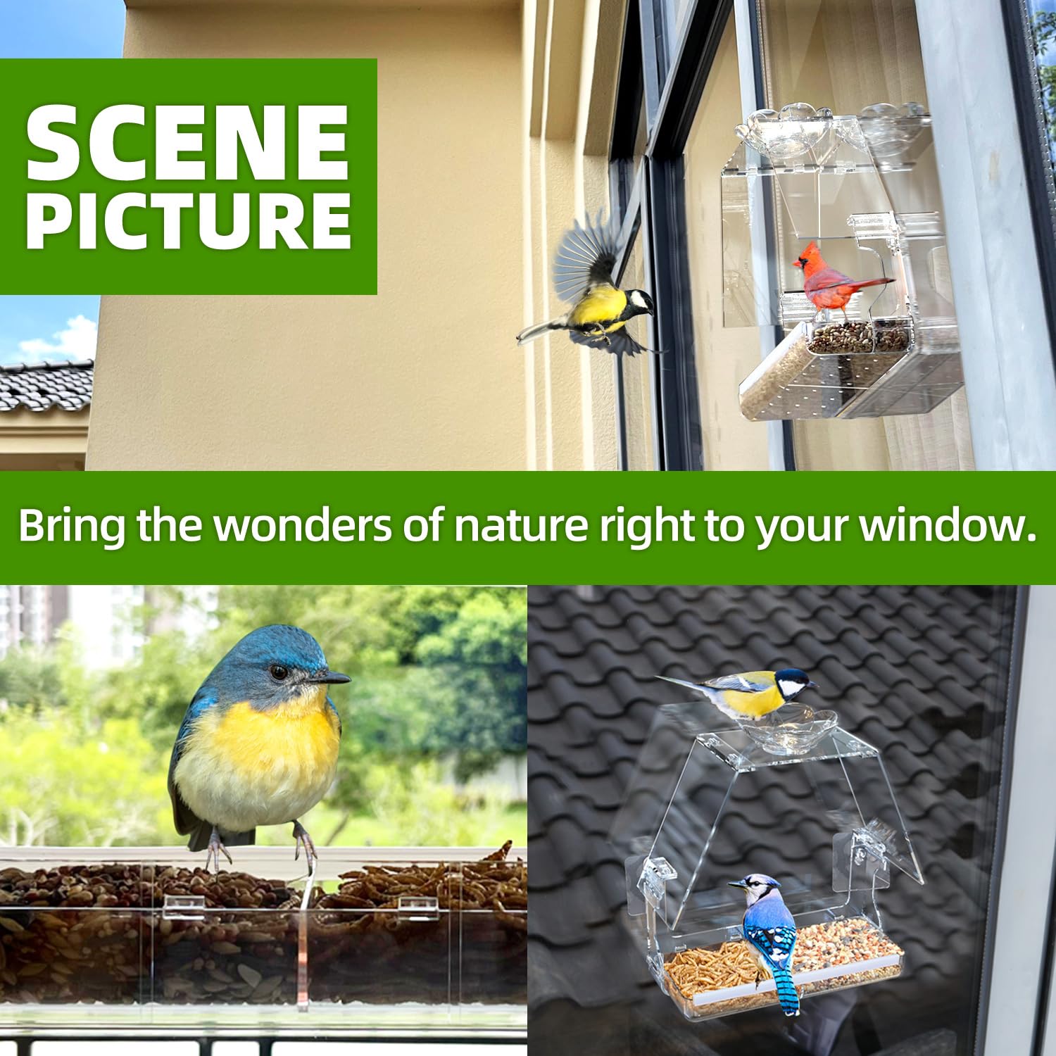 WENMIXER Window Bird Feeder in a garden setting with flowers