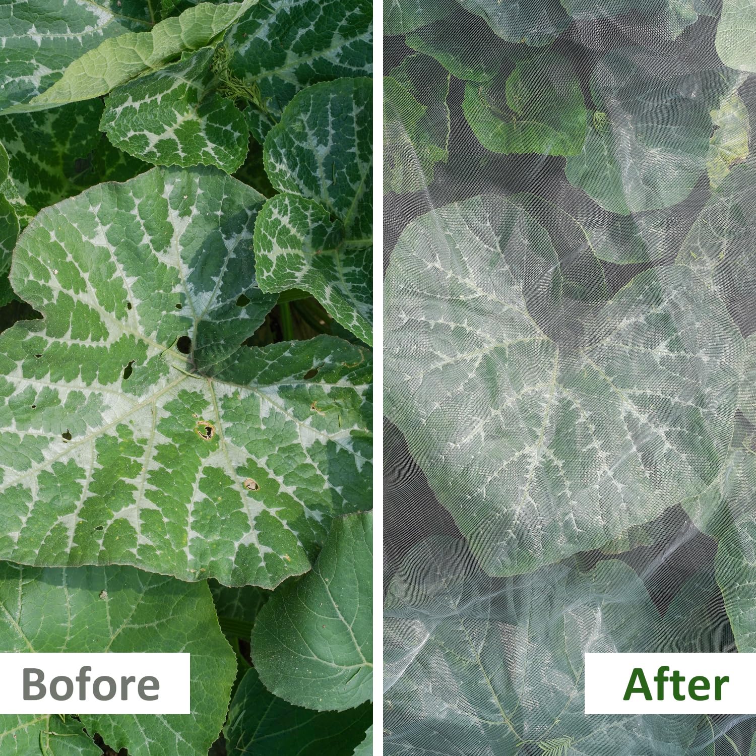WenTao Ultra Fine Netting protecting vegetable garden