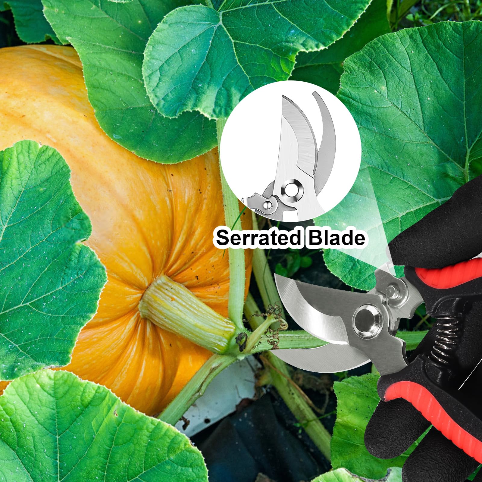 Wevove garden shears with safety lock mechanism highlighted