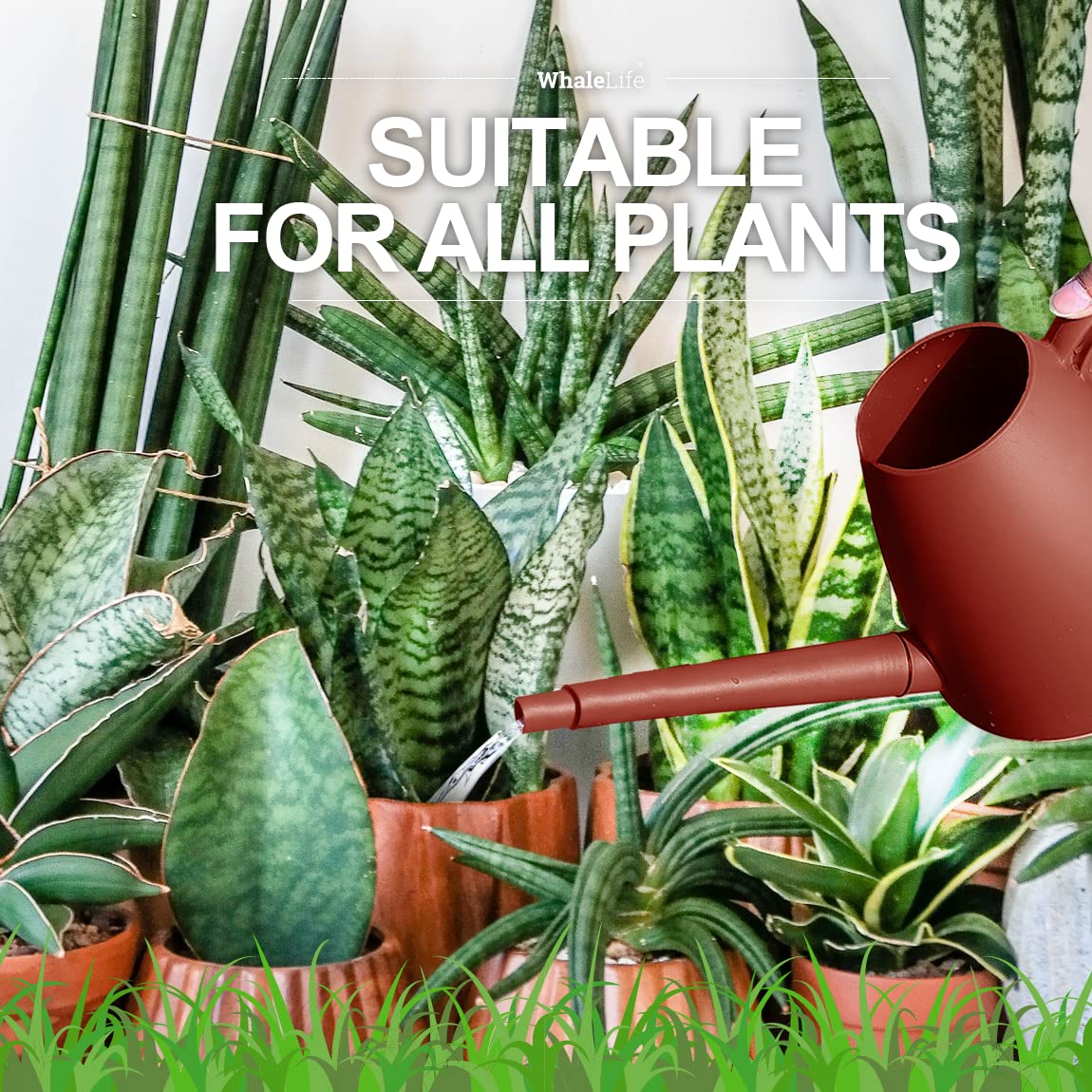 WhaleLife Indoor Plant Watering Can packaging front view