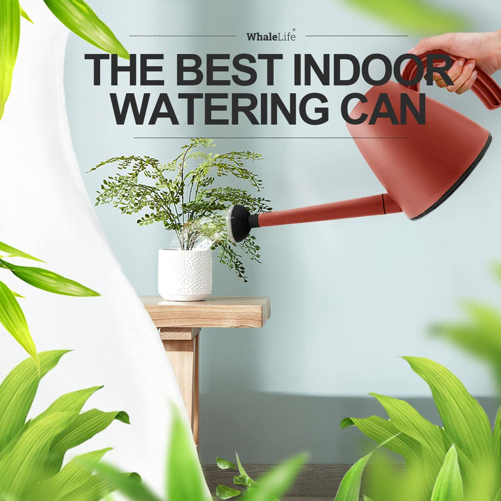 WhaleLife Indoor Plant Watering Can showing dimensions on a table