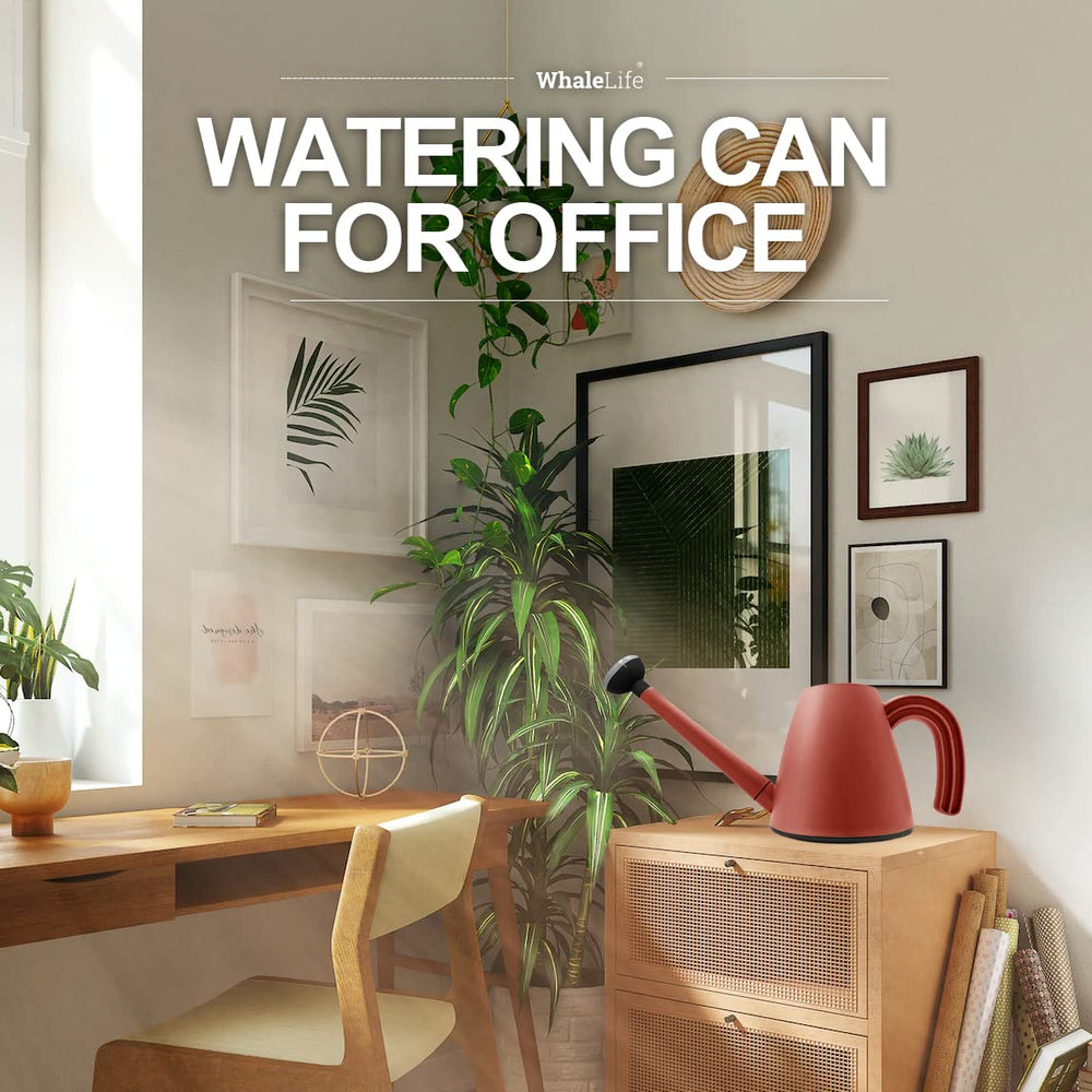 WhaleLife Indoor Plant Watering Can with small potted plants around