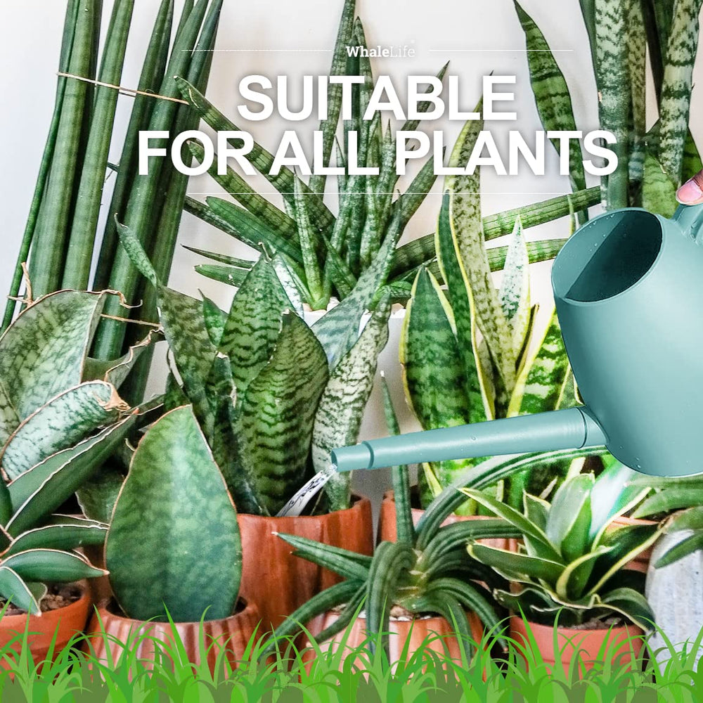 WhaleLife Indoor Watering Can blue color against white background